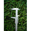 IQF Frozen Green Asparagus Cuts Grade a